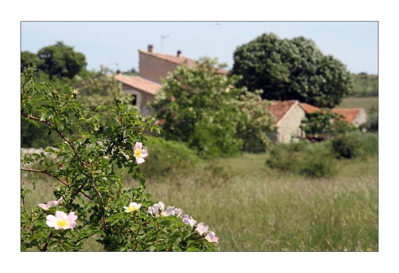 Le Mas de la Chadeniere Villeneuve-de-Berg Extérieur photo